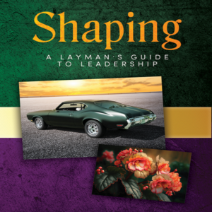 Shaping: A Layman’s Guide to Leadership